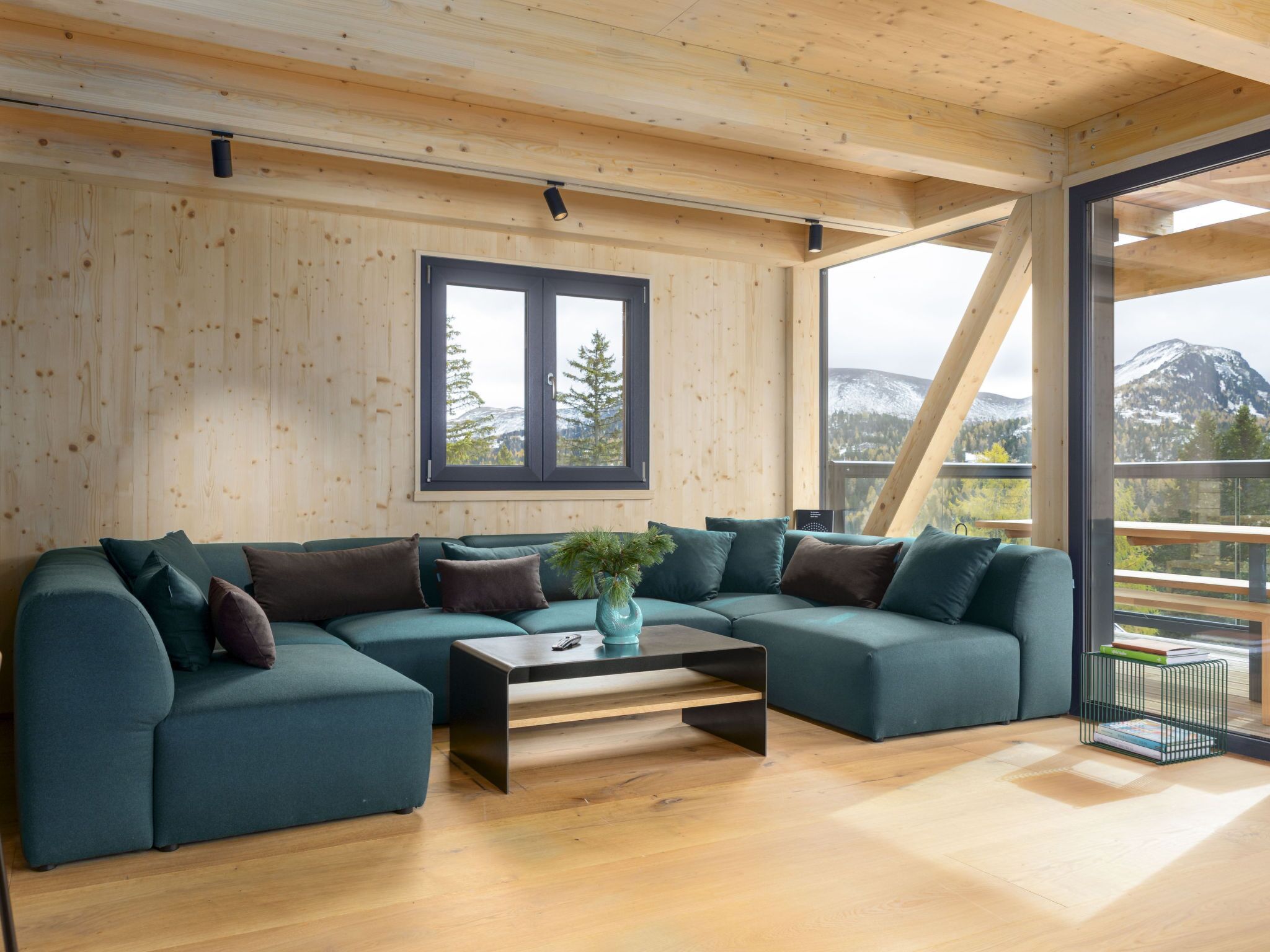 Fernseher