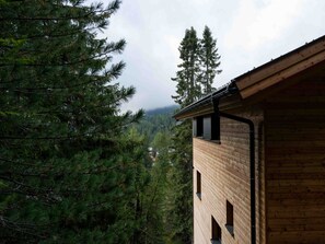A wooden cabin with a view of dense forest and a mountain in the background. - 03_NTH032_Deluxe Chalet mit Sauna und Hot Tub by Interhome (Großveitsch)