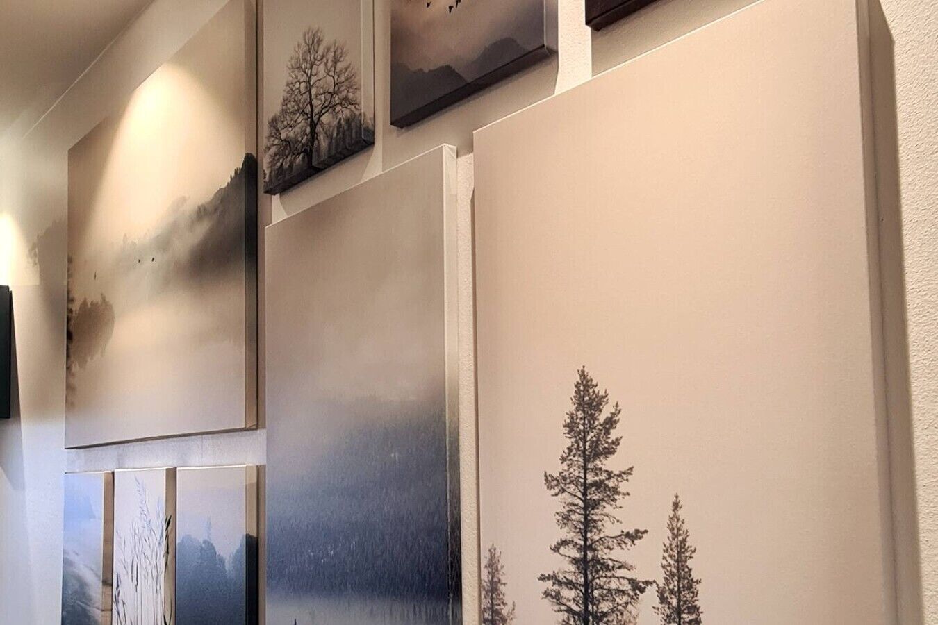 A wall with multiple framed artworks depicting natural landscapes.