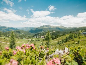Eine gebirgige Landschaft mit blauem Himmel, einem Tal mit verstreuten Gebäuden und einem Vordergrund aus Grünpflanzen und Blumen.