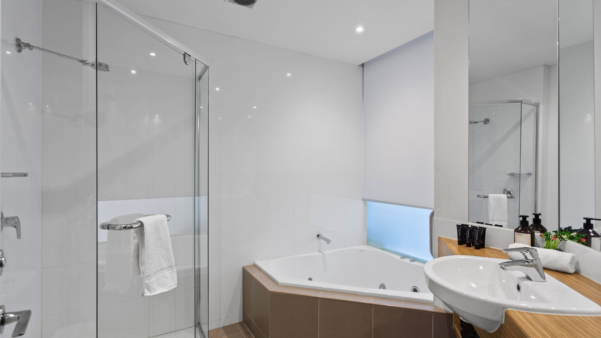 Shower, jetted tub, hair dryer