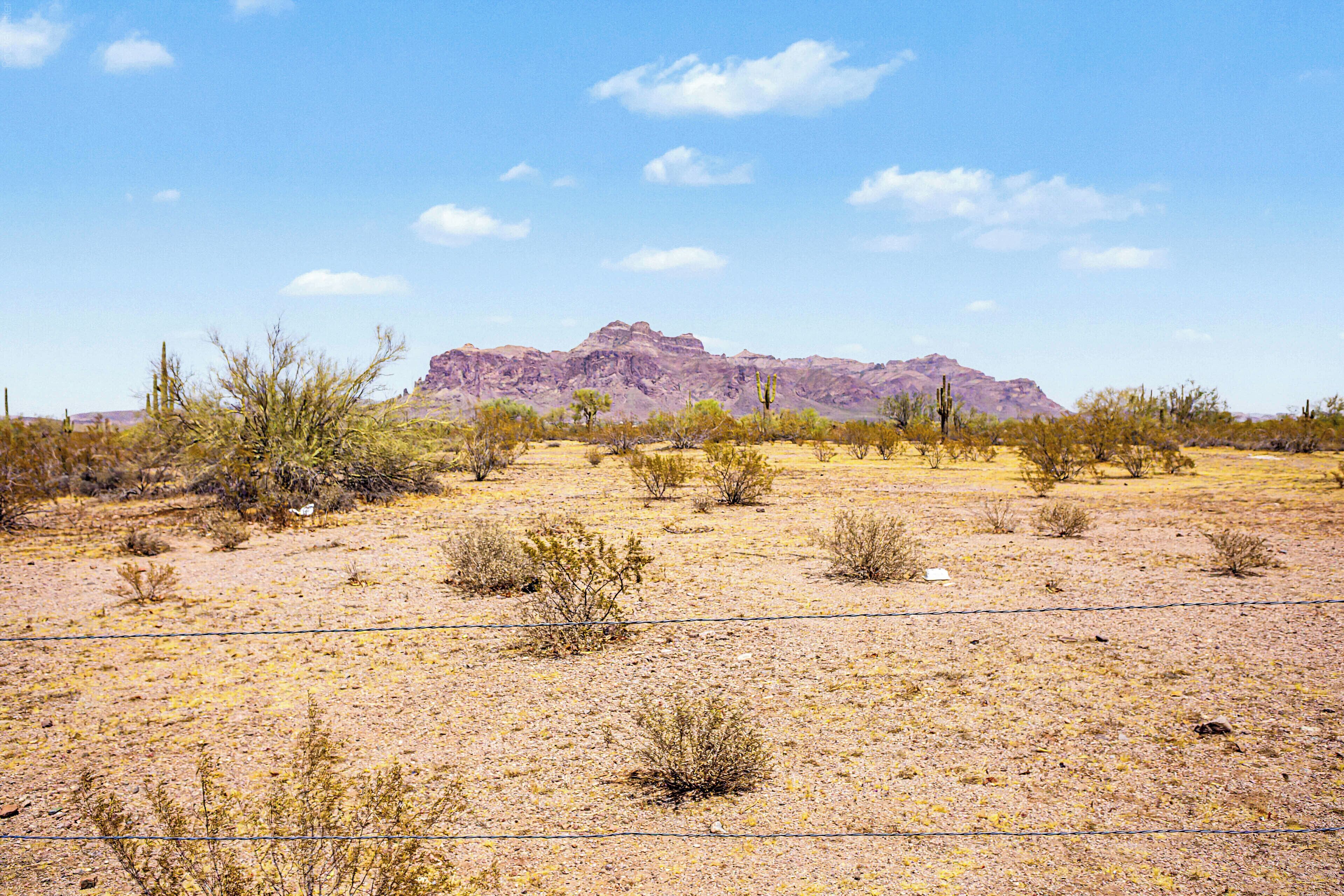 Wüstenlandschaft mit vereinzelter Vegetation, ein Berg im Hintergrund und ein Stacheldrahtzaun im Vordergrund.