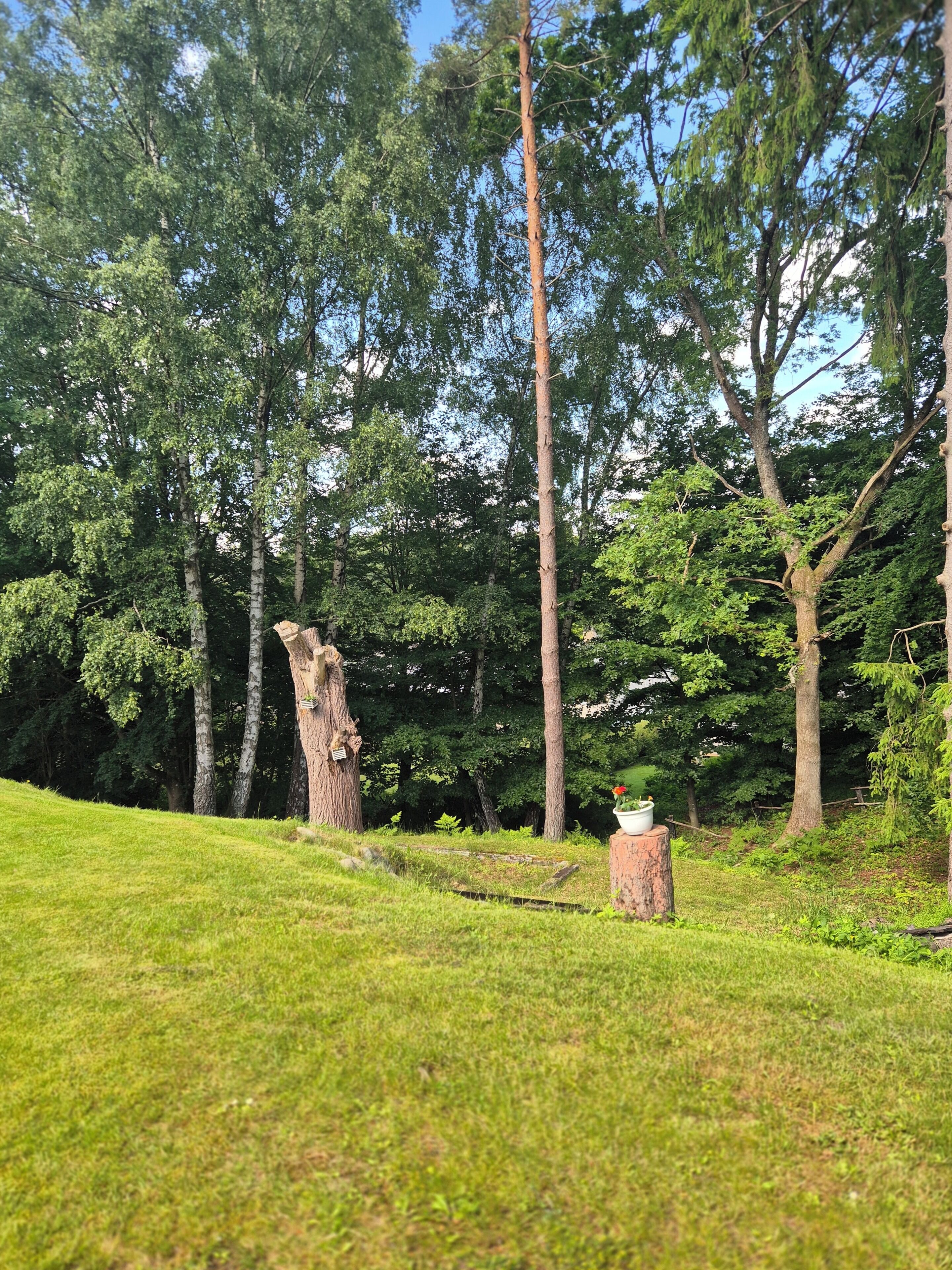 Boendeområde