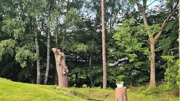 Boendeområde