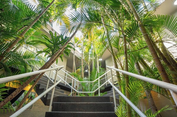 A staircase surrounded by lush tropical plants.