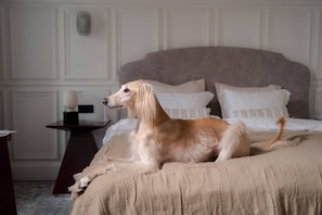 A dog lying on a bed in a room with a headboard, a small table, and a decorative wall piece.