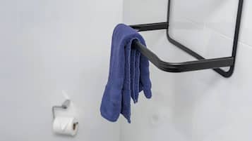 Ducha, secador de pelo y toallas