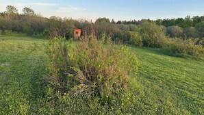 A grassy field with a small wooden structure, possibly a shed or storage unit, surrounded by dense shrubbery and trees. - Fox Den French river (Noëlville)