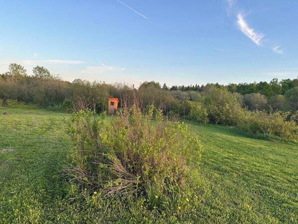 A grassy field with a small wooden structure, possibly a shed or storage unit, surrounded by dense shrubbery and trees.