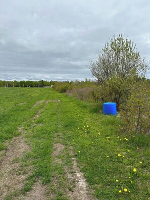 A grassy field with a dirt path, a blue barrel, and a tree. - Fox Den French river (Noëlville)