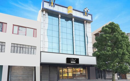 A modern building with a glass facade, a sign reading 'Collection,' and a tree in front.