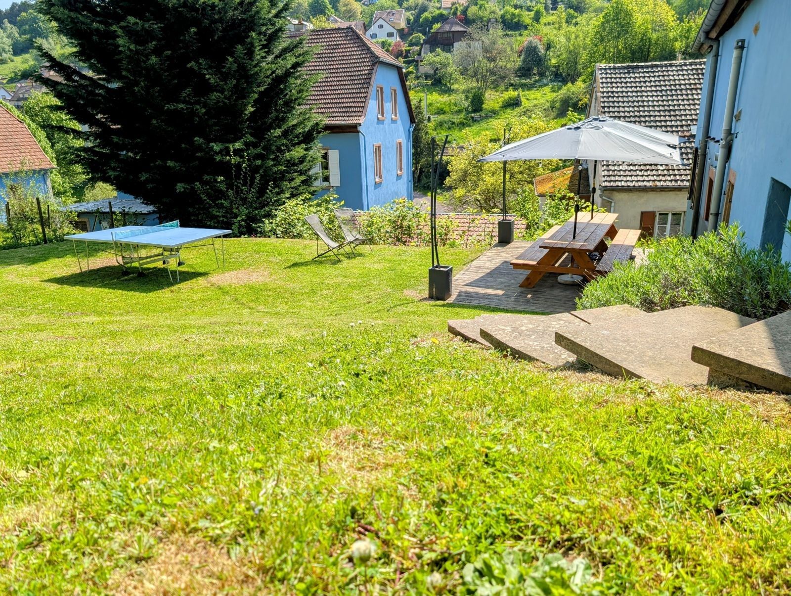 Un jardin bien entretenu avec une table et des chaises pour pique-niquer, une maison bleue et un grand arbre.