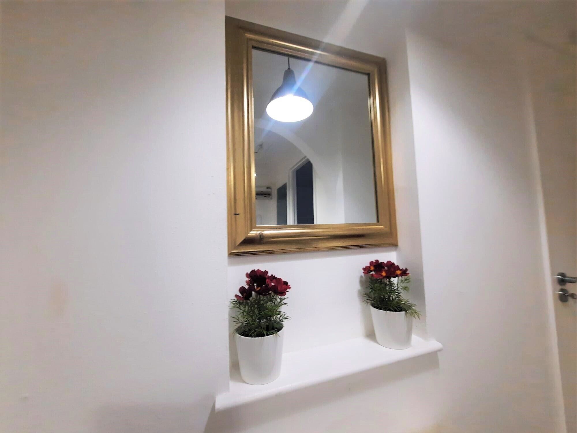 Un bagno con uno specchio, due vasi di fiori e una porta.