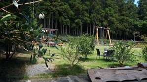 A stone patio, a swing set, and a small wooden structure in a wooded area. - Hanok Pension Daega (Jeju City)
