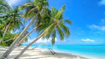 A beach with white sand, clear turquoise water, and palm trees.