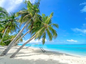 Una playa con arena blanca, agua turquesa cristalina y palmeras.