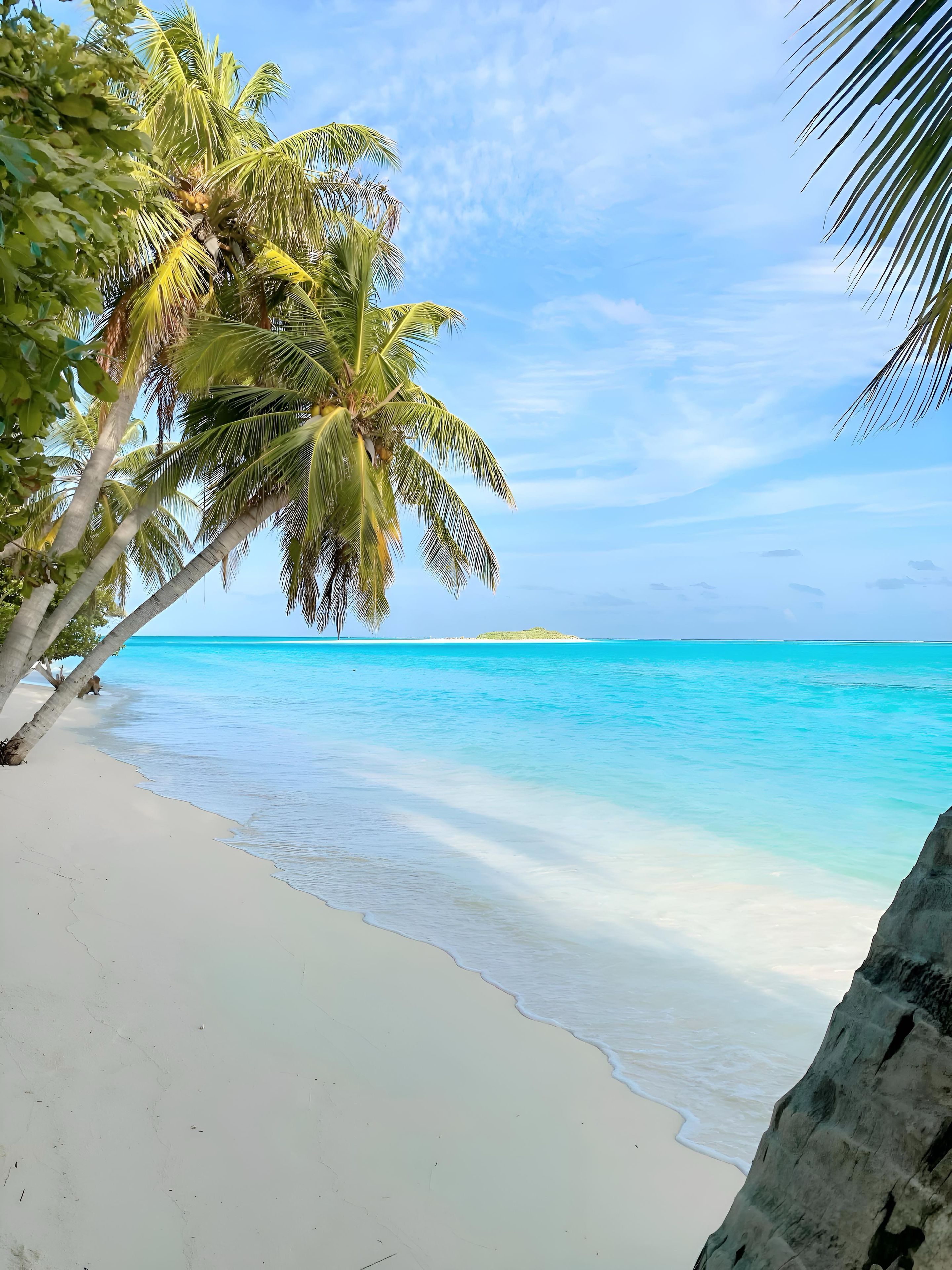 Una playa con agua turquesa cristalina, arena blanca y palmeras.