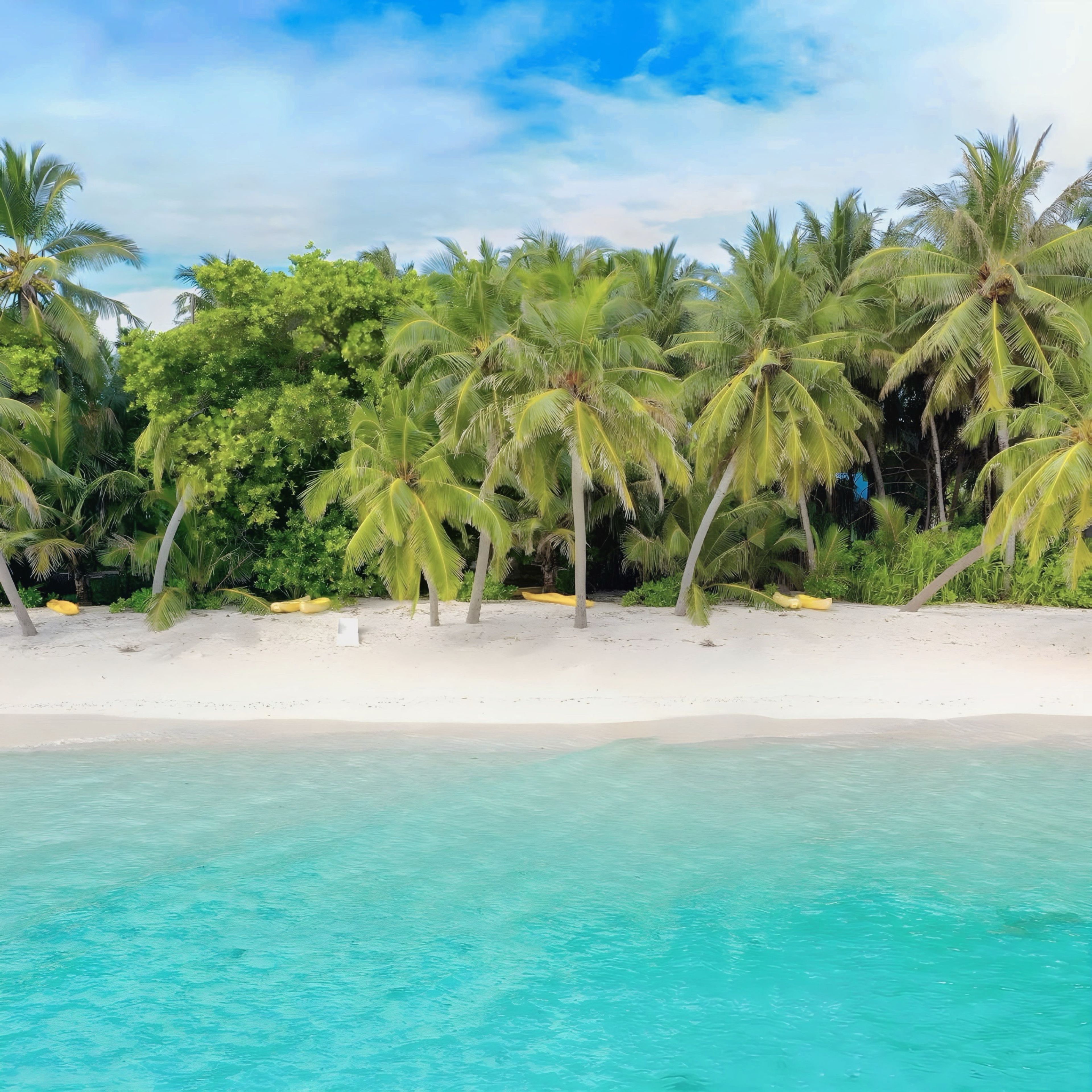 Una playa con agua turquesa cristalina, arena blanca y palmeras.