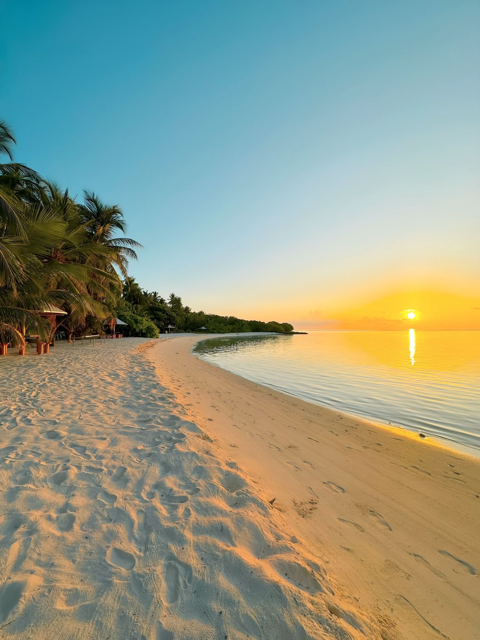 Una playa con huellas, palmeras y un atardecer.