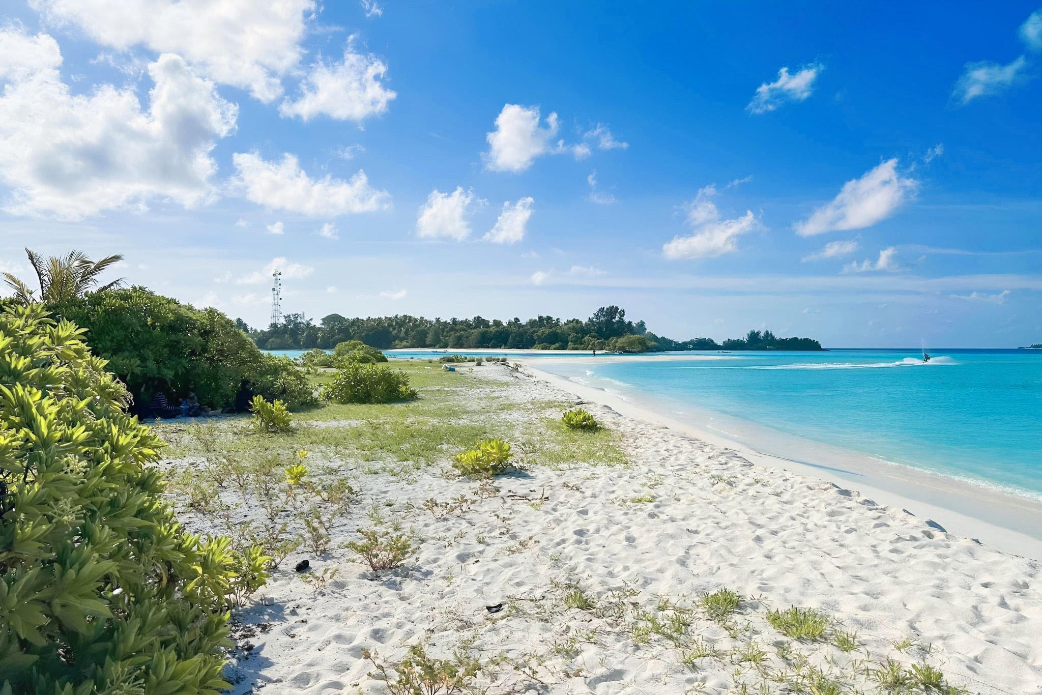 A beach with clear turquoise waters, white sand, and green vegetation.