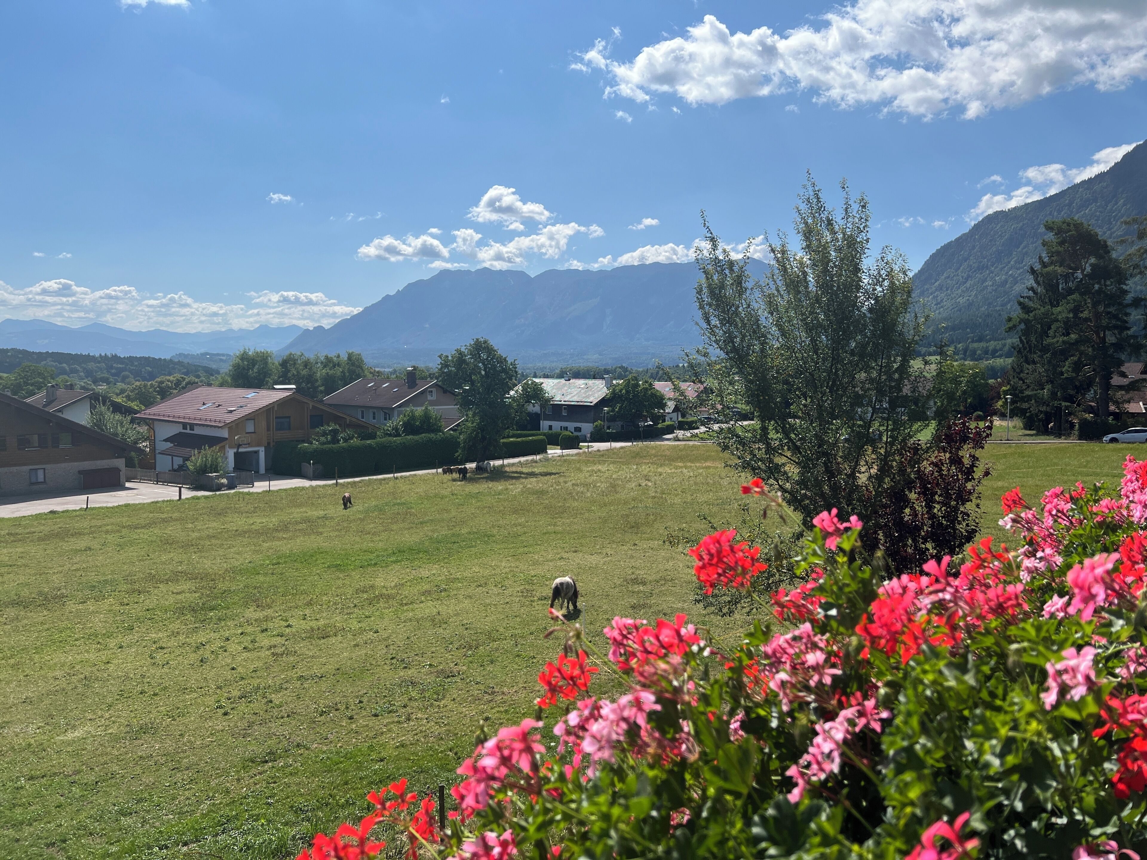 A grassy field with a few buildings and mountains in the background.