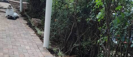 Un camino pavimentado con diseño de ladrillo, rodeado de follaje denso y un muro de piedra.