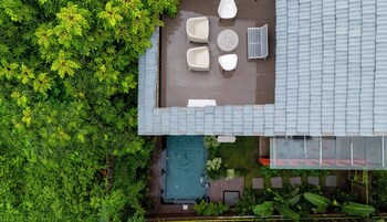 Terraza en la azotea con piscina, zona de estar y abundante vegetación.