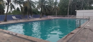 A swimming pool with a blue water feature, surrounded by palm trees and a stone wall.