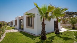 A modern building with a flat roof, large windows, and a well-maintained lawn with palm trees. - Beautiful home in Tkon (Tkon)