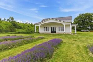 A single-story house with a gabled roof, a front porch, and a well-maintained lawn with lavender. - Greystone Lavender Farm-Hot Tub|Pool Table|KoiPond (Meaford)