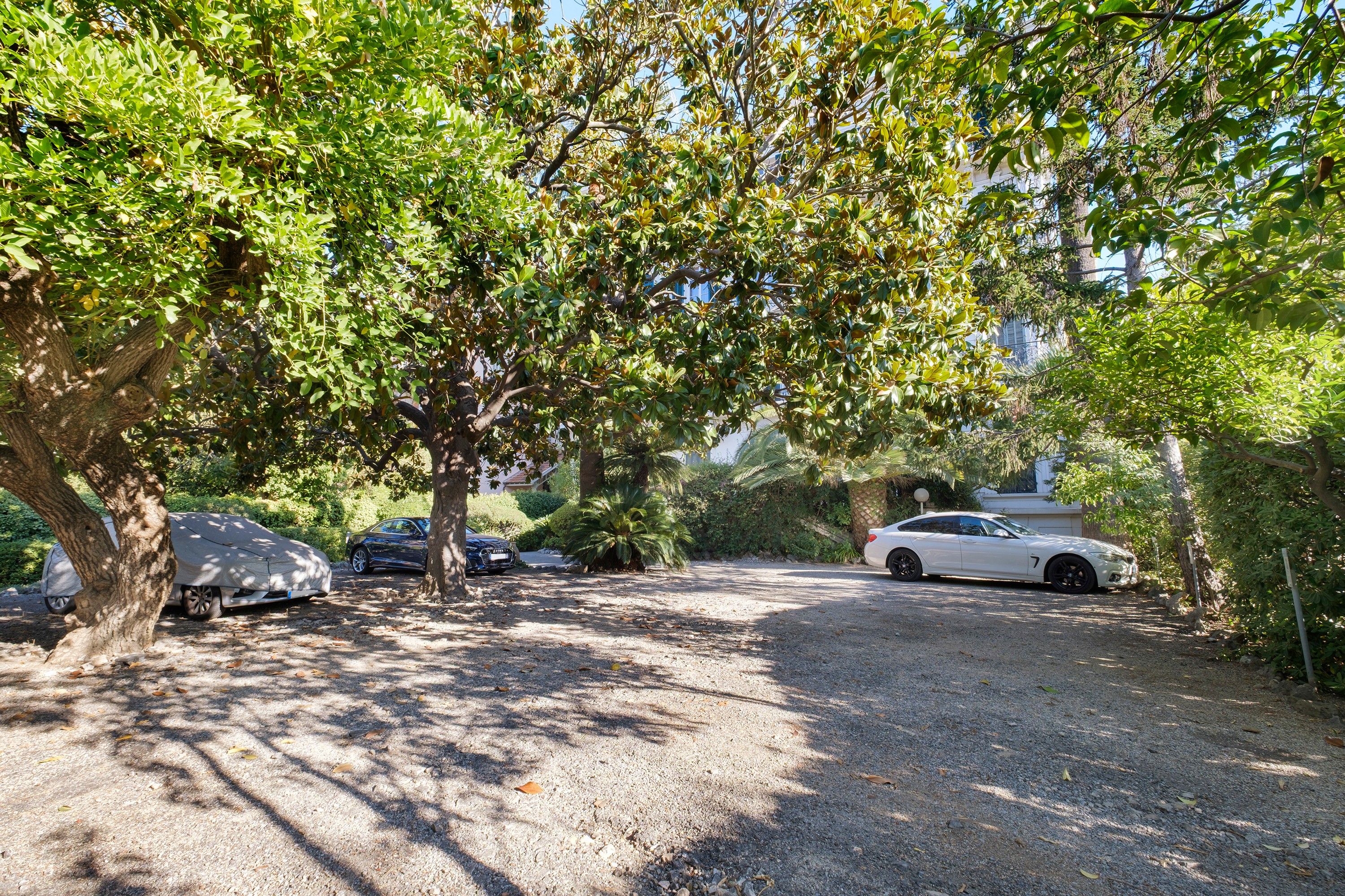 Un camino de grava que conduce a un coche blanco estacionado bajo un árbol.