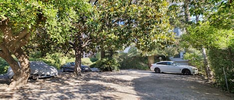 Un camino de grava que conduce a un coche blanco estacionado bajo un árbol.