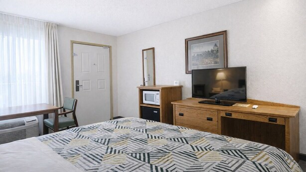 A hotel room with a bed, a desk, a chair, a television, a microwave, and a framed picture on the wall. - King Bed |Non-Smoking (Forsyth MT)