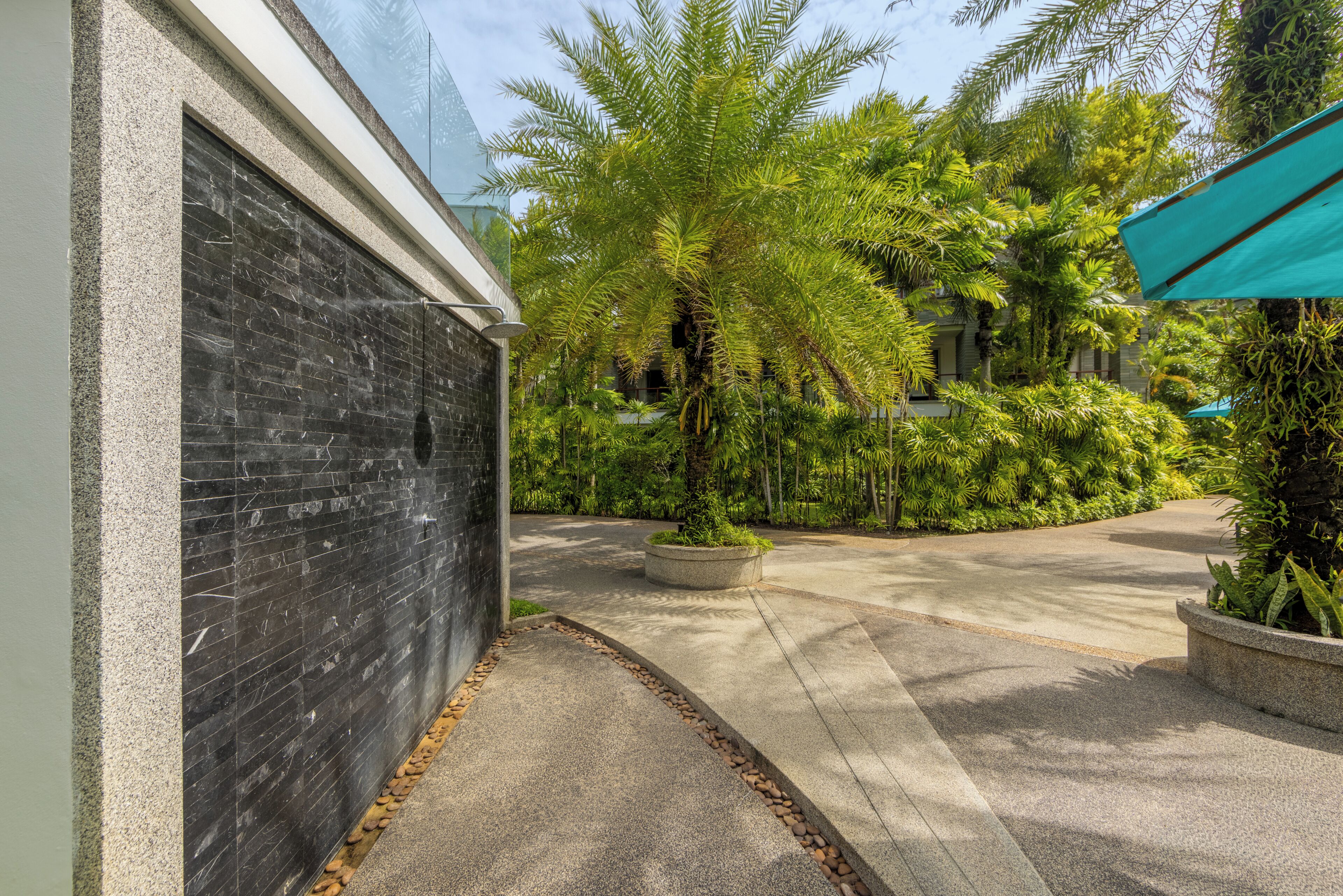 Une cour avec un mur recouvert de carreaux noirs, un chemin en béton et une végétation luxuriante comprenant des palmiers et d’autres plantes tropicales.
