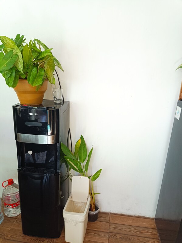 A coffee maker, a water dispenser, a potted plant, and a trash bin.