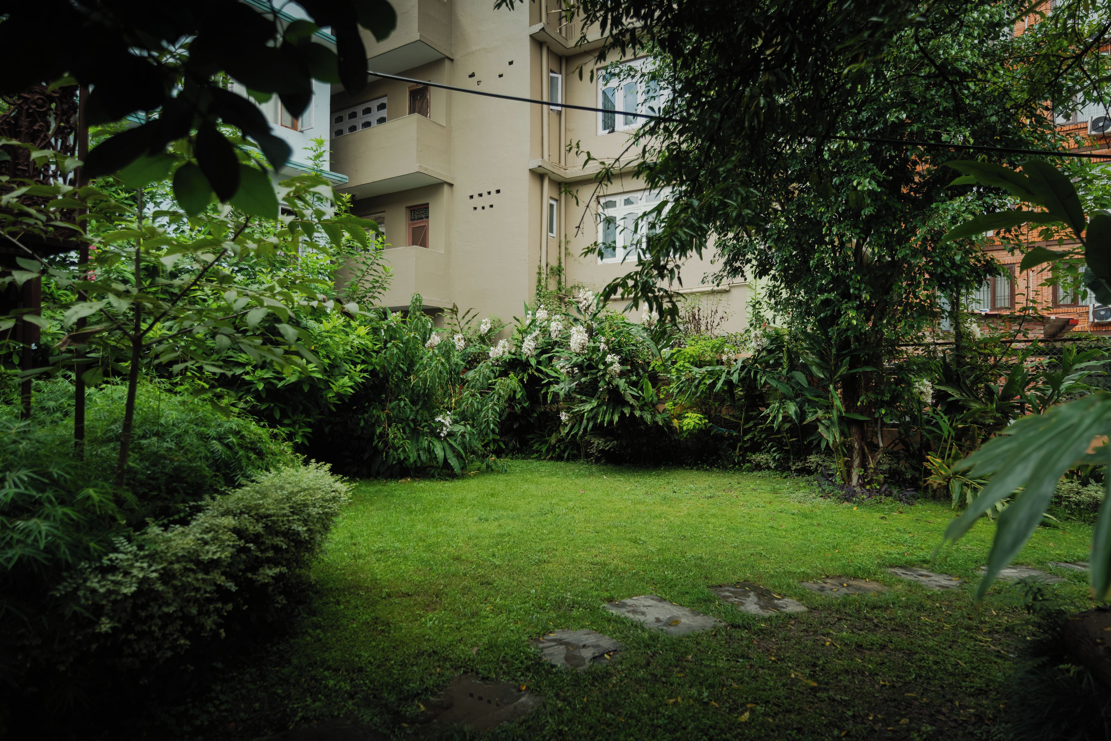 Un jardín cuidado con una variedad de plantas y césped.