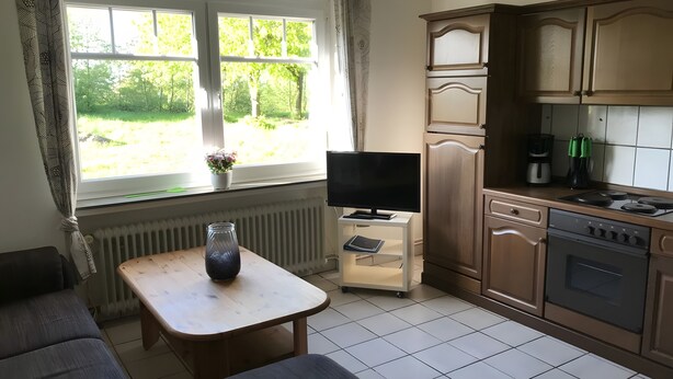 Een kleine keuken met een eethoek, een televisie op een standaard, en uitzicht op groen.