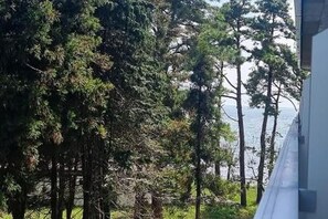 A room with a view of a forest and a body of water.