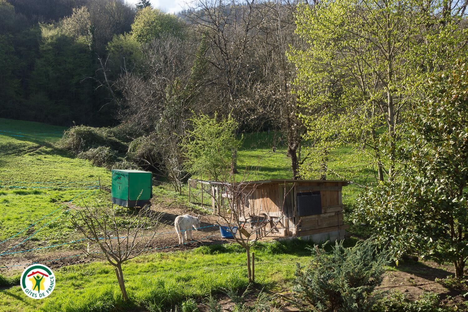 Un paysage rural avec une petite construction en bois, un coffret électrique vert et une zone délimitée par une clôture.