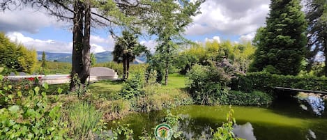 Un entorno tranquilo al aire libre con un estanque, abundante vegetación y un pabellón.