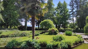 Un jardín exuberante con un estanque, diversas plantas y árboles.