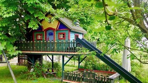 Una casa de juegos colorida con un tobogán, rodeada de exuberante follaje.