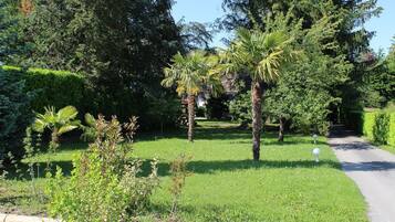 A well-maintained garden with a variety of trees and shrubs, a paved pathway, and a clear sky.