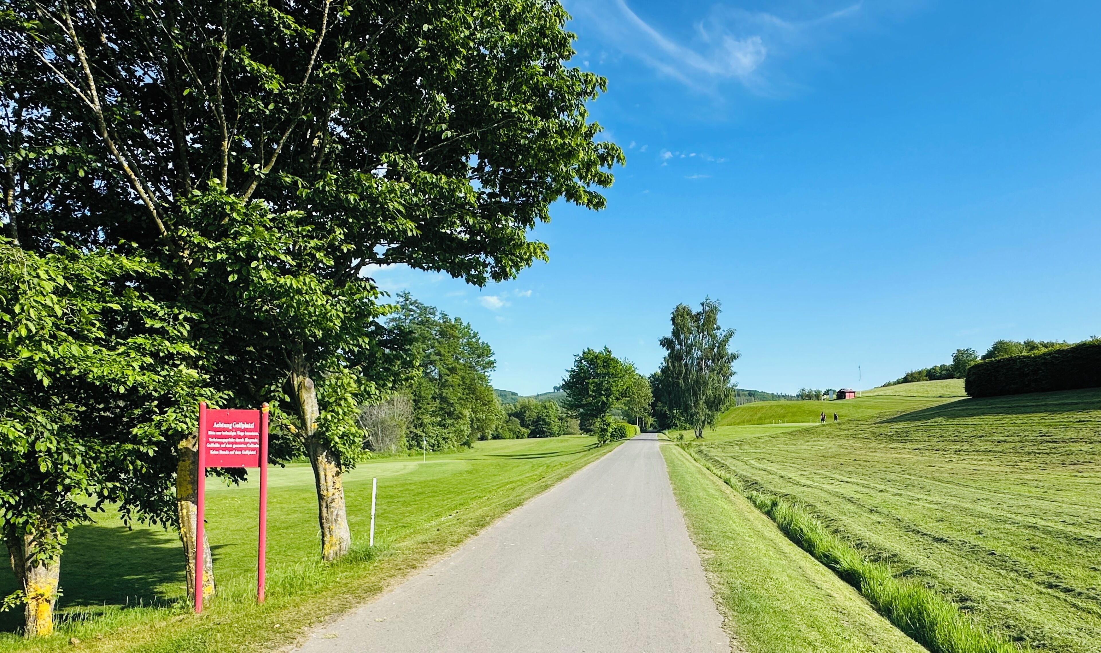 A rural road flanked by lush greenery and a clear blue sky.