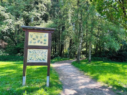 Comfortable vacation rental with private terrace & Wi-Fi near Lake Sorpe—Haus am Krähenbach—Sorpe