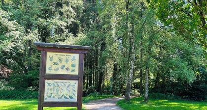 Comfortable vacation rental with private terrace & Wi-Fi near Lake Sorpe—Haus am Krähenbach—Sorpe
