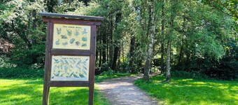 Comfortable vacation rental with private terrace & Wi-Fi near Lake Sorpe—Haus am Krähenbach—Sorpe