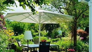 En udendørs terrasse med et bord, stole og en stor parasol.