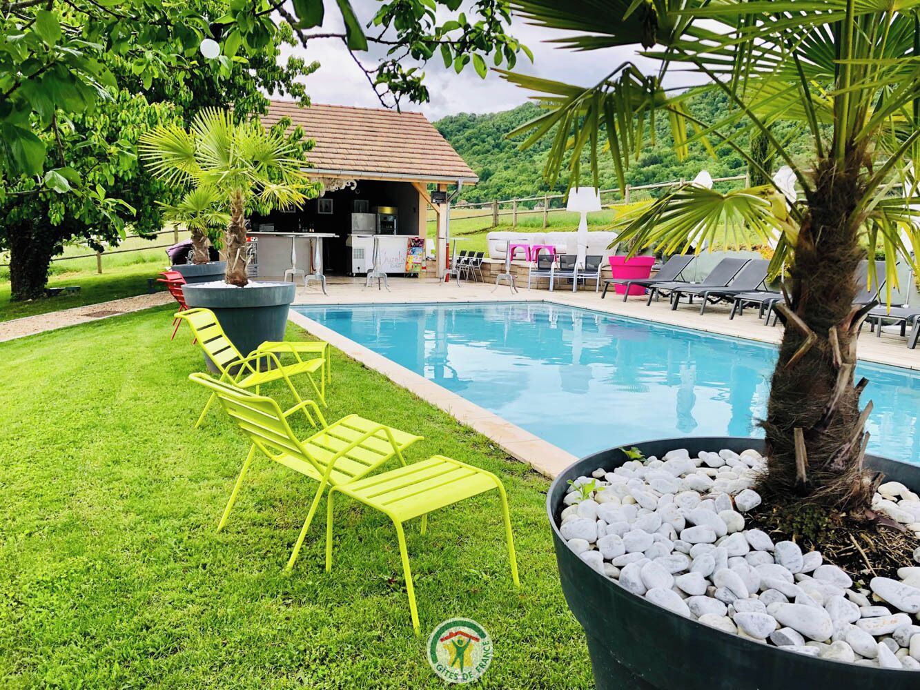 A swimming pool with lounge chairs, a palm tree, and a small building in the background.