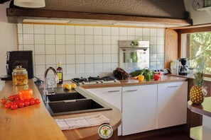 Frigorífic, microones, forn i rentaplats 